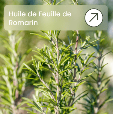 312a3f81-90b9-4e9b-b800-fc086d5b2300.Capture d'écran 2026-03-27 011145